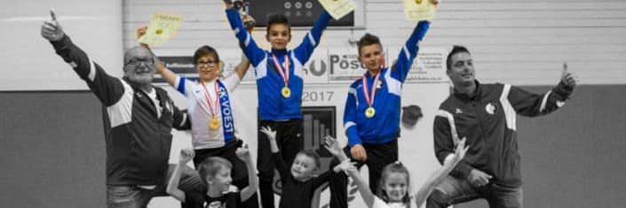Vöest U11 U13 Titel